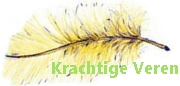 Krachtige Veren - vervolgsessie veerkrachtoefeningen