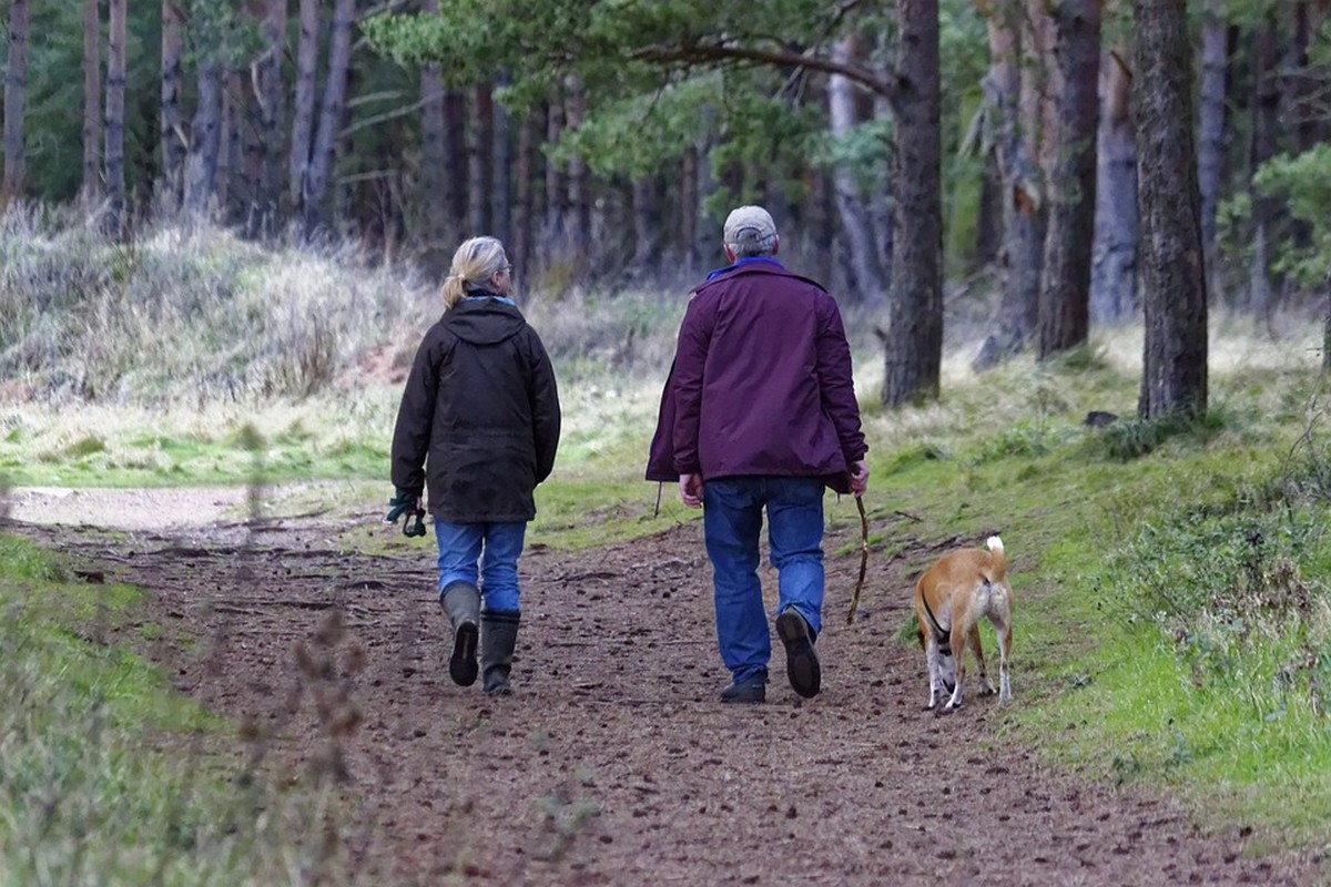 Waarom is wandelen zo gezond?