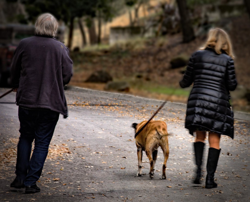 Doe een wandeling om even bij te komen!